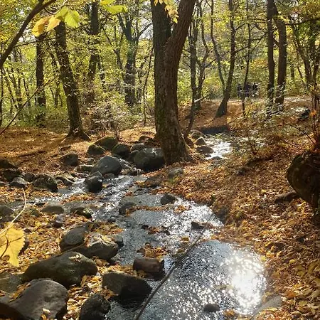 Edit بيت للعطل