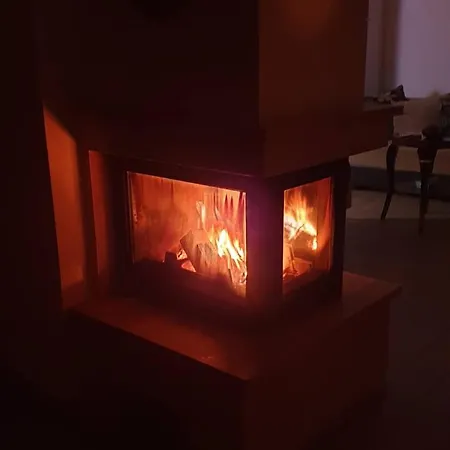 Edit ماترافوريد