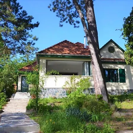 Edit * ماترافوريد