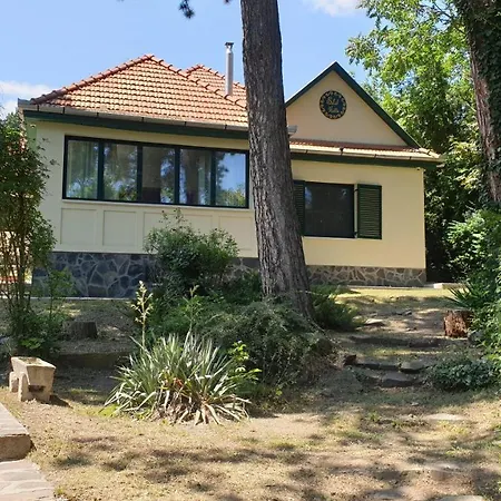 Edit * ماترافوريد