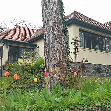 بيت للعطل Edit