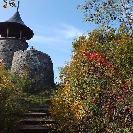 Edit * ماترافوريد