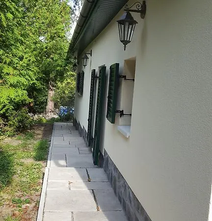 Edit * ماترافوريد