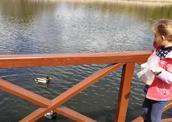 בית נופש Edit *