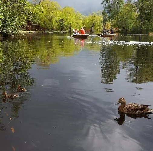 בית נופש Edit מטרפורד