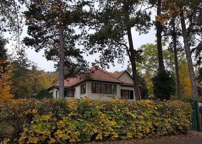 Edit * מטרפורד