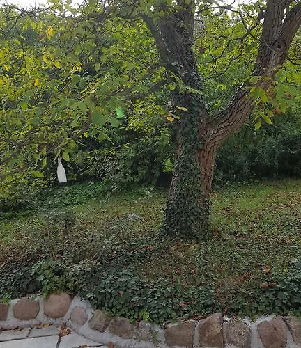 Edit * מטרפורד